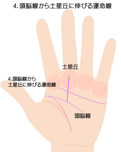 頭脳線から土星丘に届く運命線です。