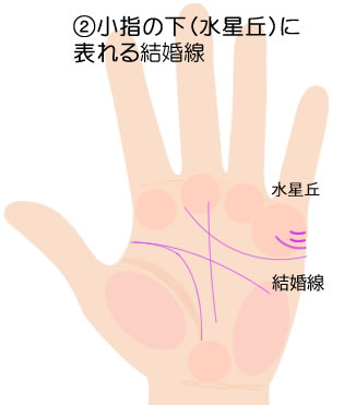 小指の下（水星丘）に表れる結婚線の意味です。