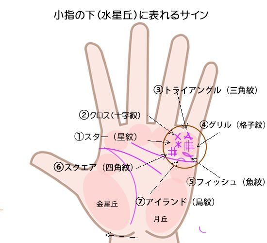 水星丘に表れるサインの意味です。