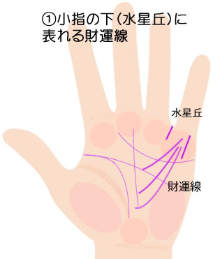 小指の下（水星丘）に表れる財運線の意味です。