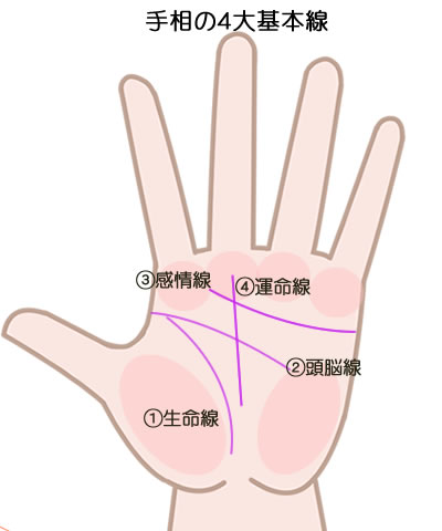 手相の４つの基本線です。