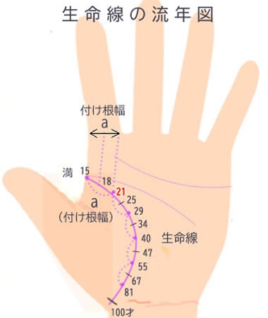 生命線の流年図です。