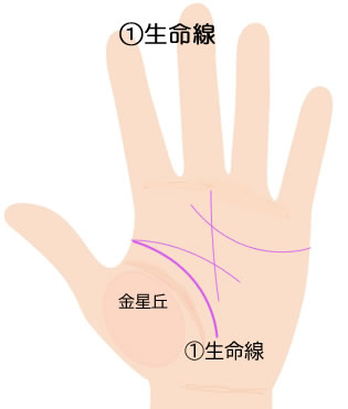 生命線の意味です。