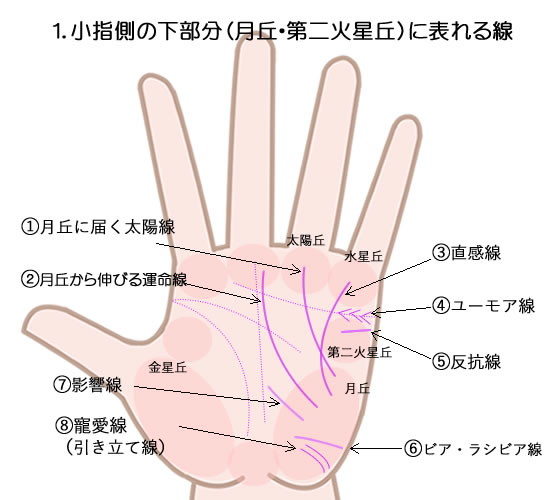 １小指の下側、月丘や第二火星丘にあらわれる線の意味です。