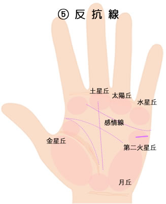 第二火星丘に表れる反抗線の意味です。
