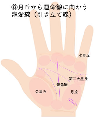 月丘の下部にななめにでる寵愛線（引き立て線）です。