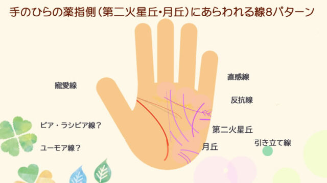 薬指側の月丘や第二火星丘に表れる縦線・横線の意味です。