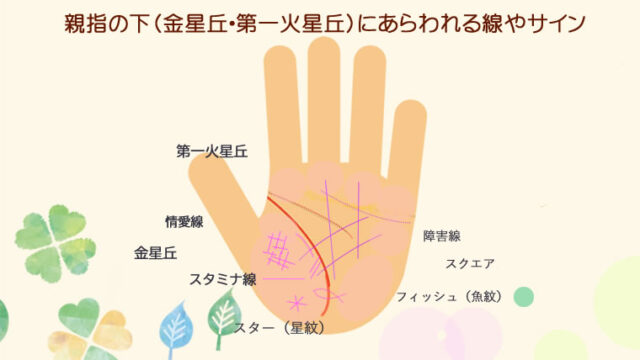 親指の下の金星丘・第一火星丘にあらわれる線やサインの意味です。
