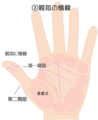 親指にあらわれる横線の意味です。