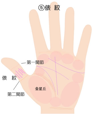 親指にあらわれる俵紋の意味です。