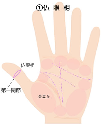 親指にあらわれる仏眼相の意味です。