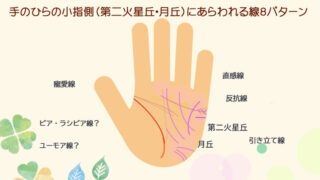 小指側の第二火星丘や月丘に出る縦線、横線の意味です。