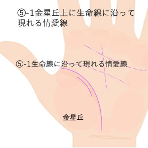 金星丘で生命線に沿って現れる情愛線の意味です。