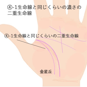 二重生命線のパターンの意味です。