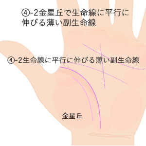 生命線に平行にのびる服生命線の意味です。
