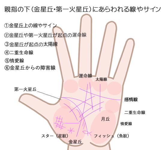 親指の下の金星丘や第一火星丘にでる線やサイン１０パターンの意味です。