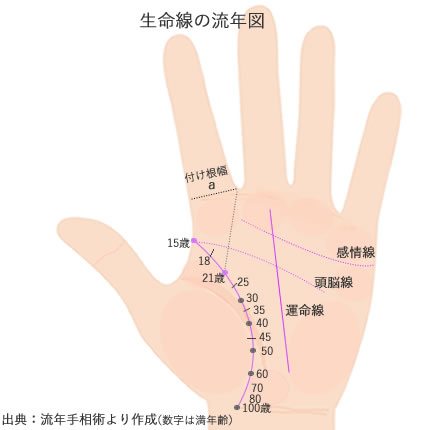 生命線の流年図です。