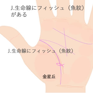 生命線にフィッシュ（魚紋）がある意味です。