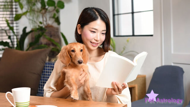 ペットの占星術での飼い主さんとの相性を見る方法についてご紹介しています。